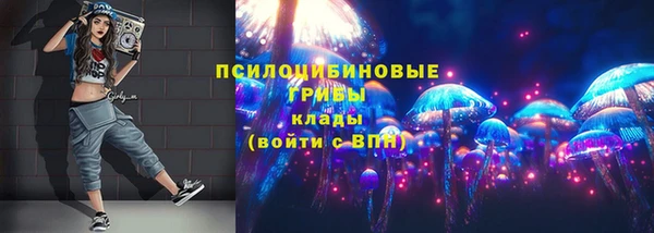 СК Абдулино