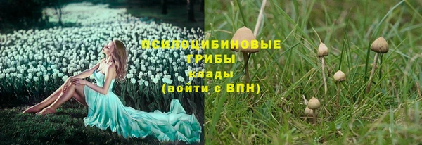 первитин Абинск