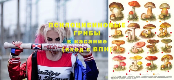 СК Абдулино