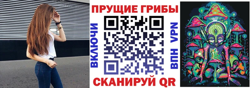 OMG маркетплейс Архангельск Галлюциногенные грибы Cubensis