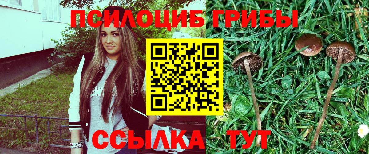где можно купить   Вход с VPN  Архангельск  Галлюциногенные грибы Psilocybine cubensis 
