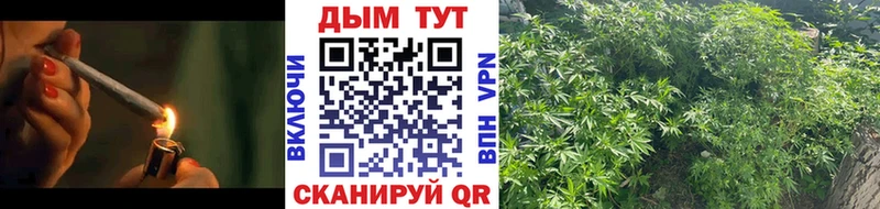 Конопля White Widow  blacksprut ССЫЛКА  Архангельск  что такое наркотик 